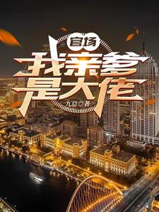 仕途我背景藏不住了小说